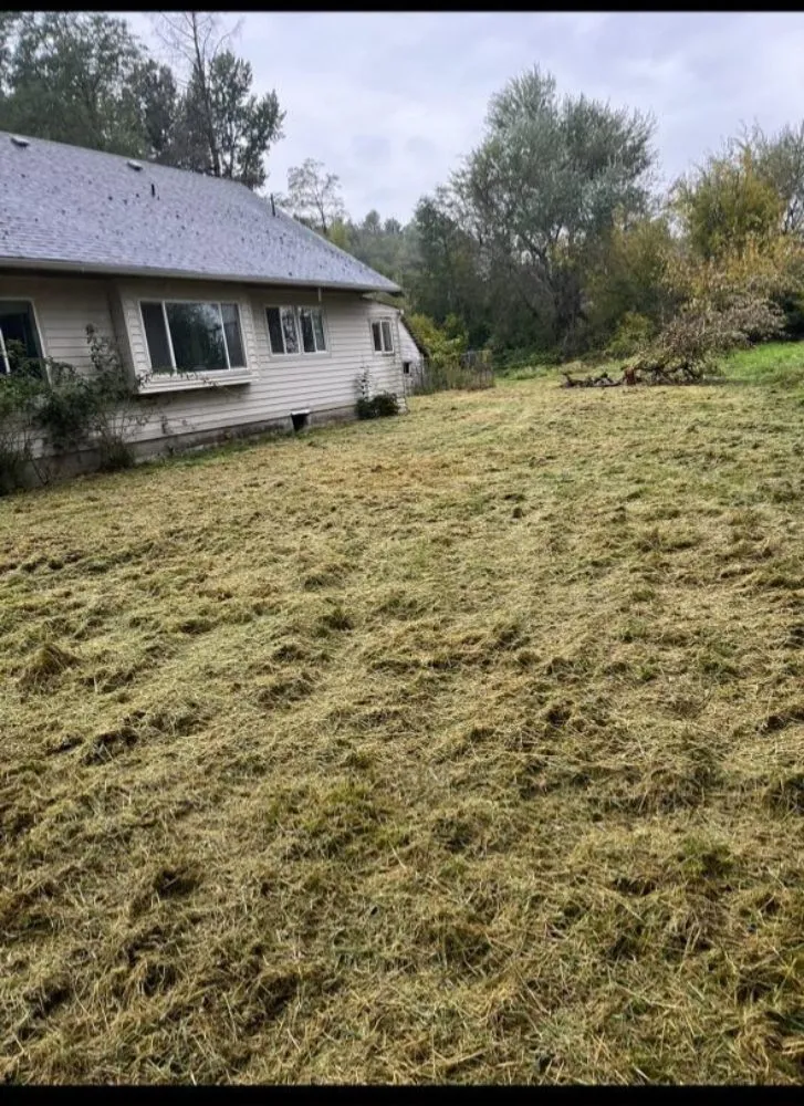 Affordable yard maintenance for homes across Sumas, WA - Greenfields Landscaping