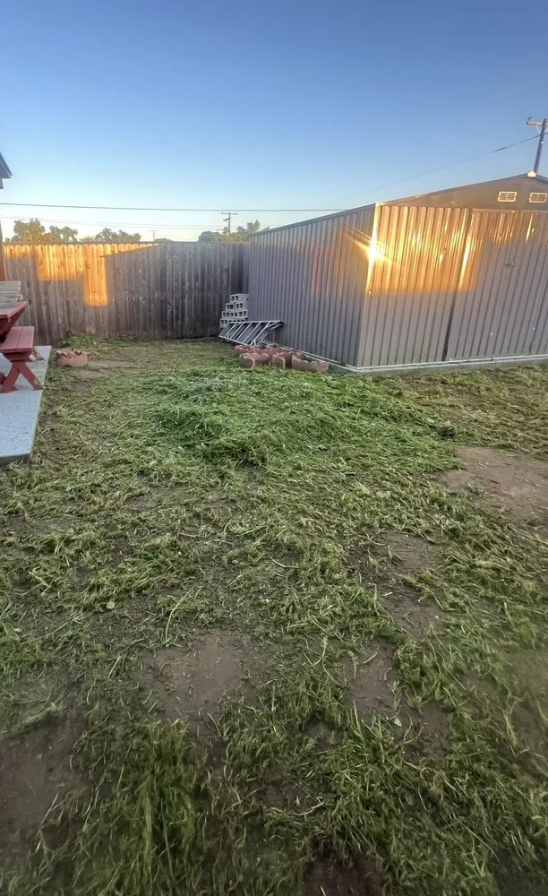 Custom lawn care service in Chula Vista, CA by GreenFlex Landscaping