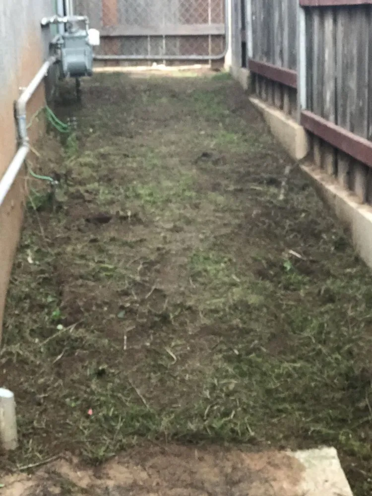 Reliable landscape installation in Chula Vista, CA - GreenFlex Landscaping