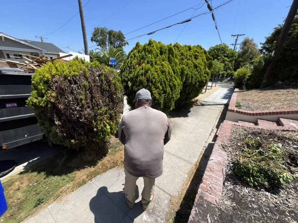 Custom lawn mowing service in Chula Vista, CA - GreenFlex Landscaping