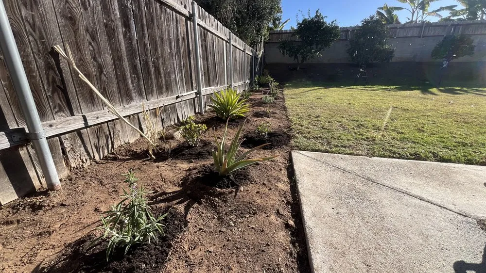 Custom garden landscaping in Chula Vista, CA by GreenFlex Landscaping