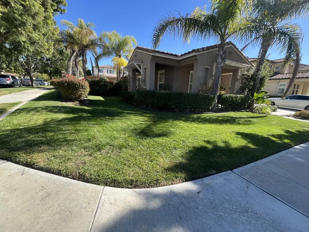 Professional yard maintenance in Chula Vista, CA by GreenFlex Landscaping