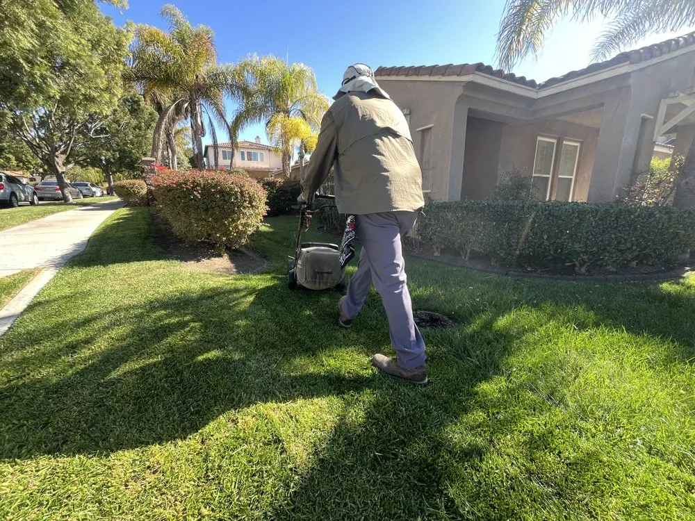Custom yard maintenance in Chula Vista, CA - GreenFlex Landscaping