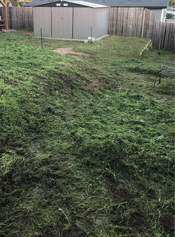 Expert landscape design experts serving Chula Vista, CA - GreenFlex Landscaping