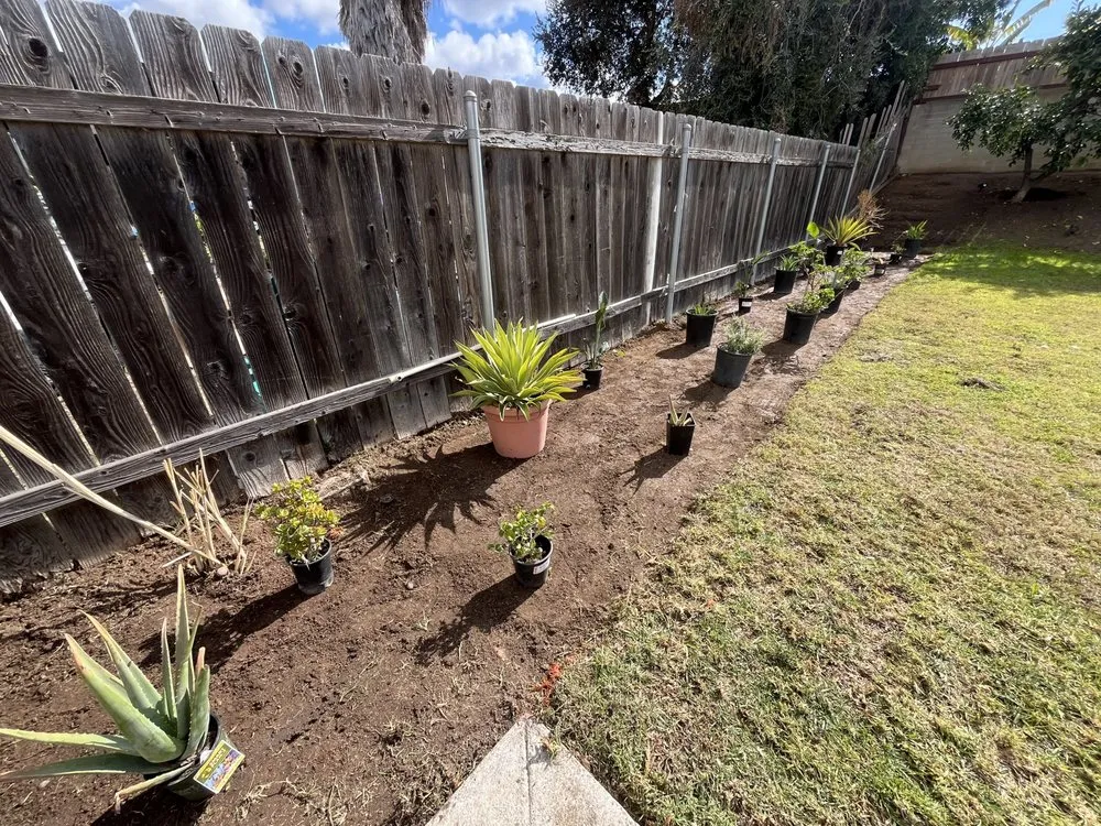 Professional landscaping services in Chula Vista, CA by GreenFlex Landscaping