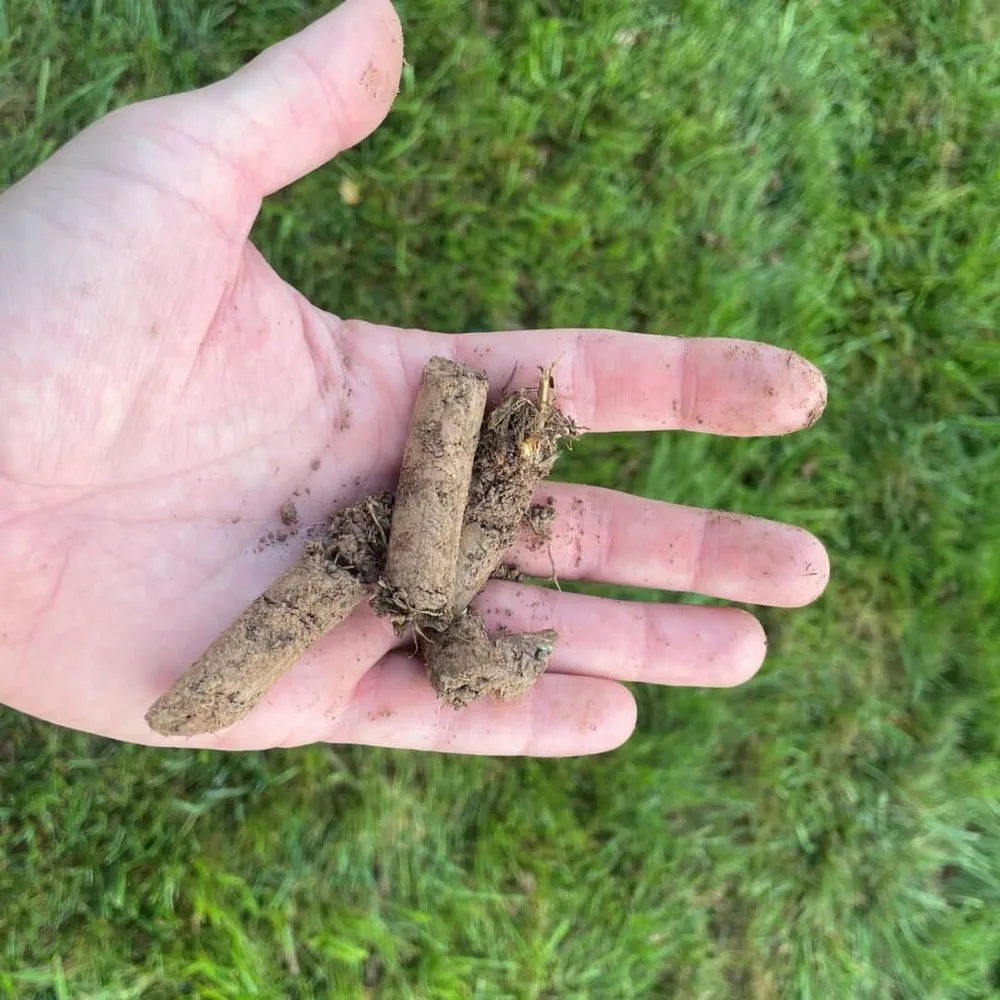 Trusted yard maintenance with custom design in Lemont, IL by GreenFlow Aeration