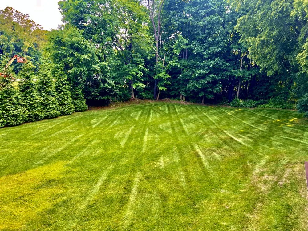 Trusted yard cleanup service for beautiful yards in Bridgewater, MA by Greenform Landscape