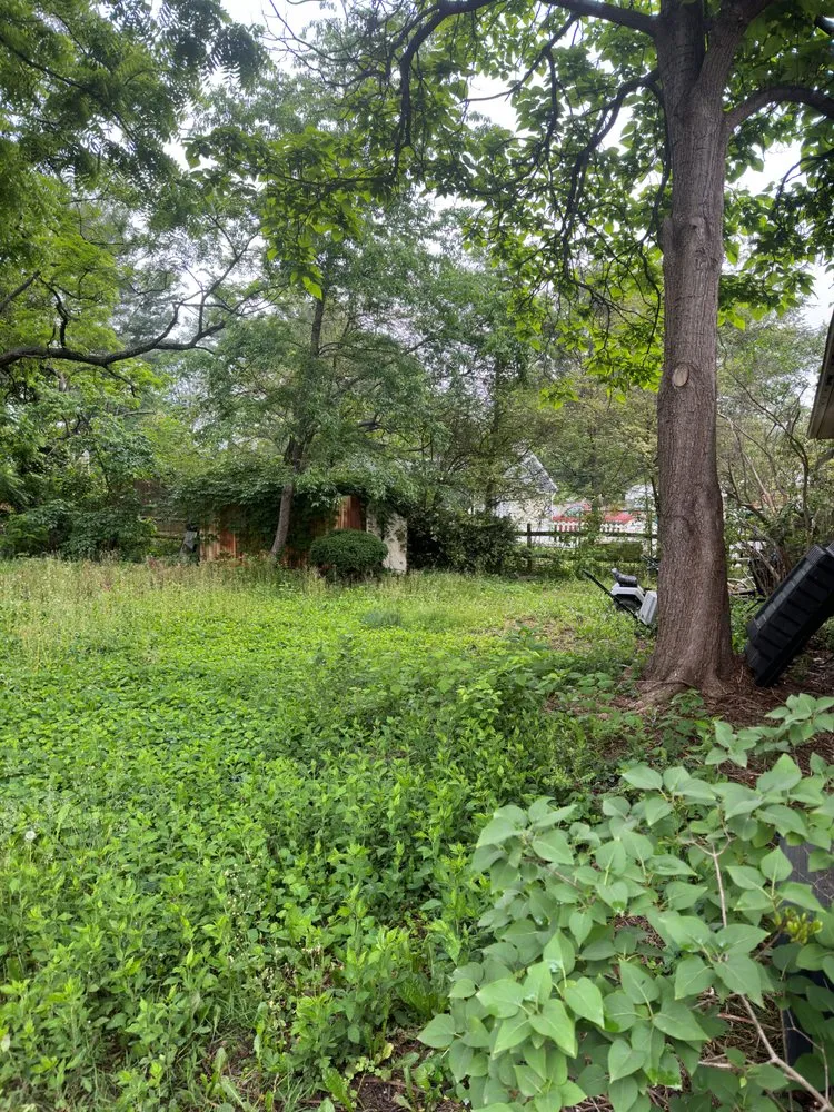 Trusted landscaping services in Staunton, VA by GreenForm Landscaping