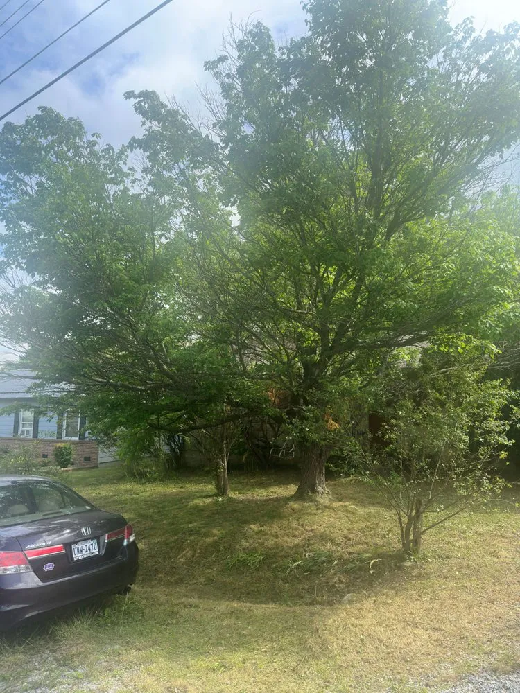 Local yard maintenance experts serving Staunton, VA - GreenForm Landscaping