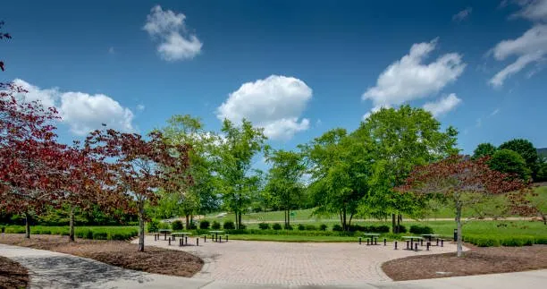 Expert yard maintenance in Brooklyn, NY by Greengage Urbanscape