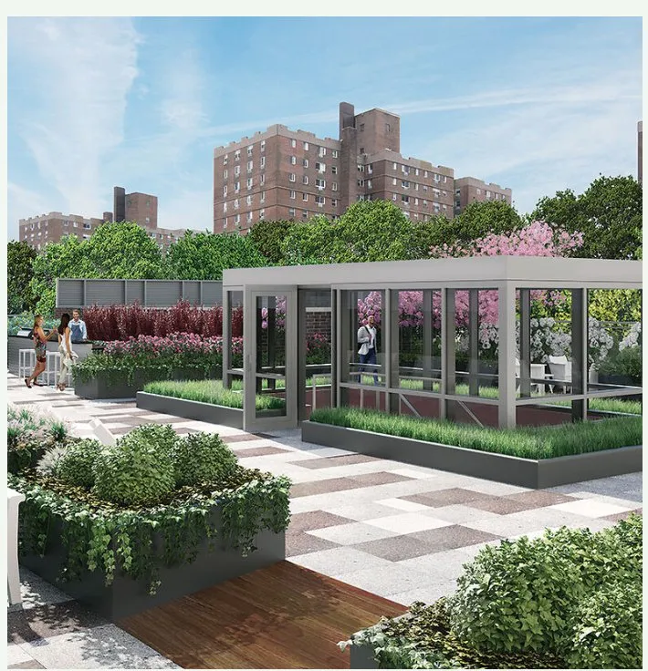 Local landscape design in Brooklyn, NY by Greengage Urbanscape