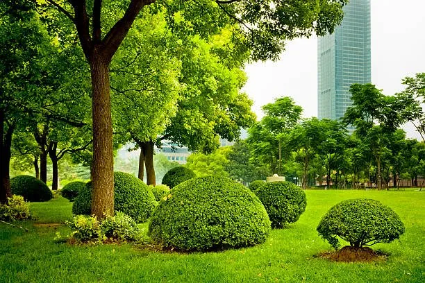 Professional landscape design experts serving Brooklyn, NY - Greengage Urbanscape