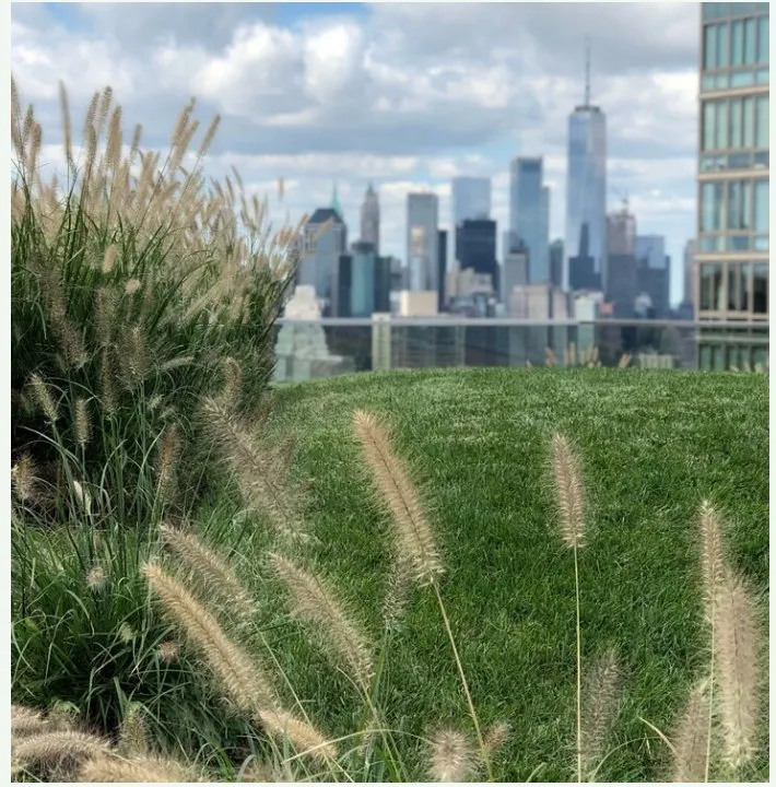 Reliable landscaping services for outdoor upgrades in Brooklyn, NY by Greengage Urbanscape