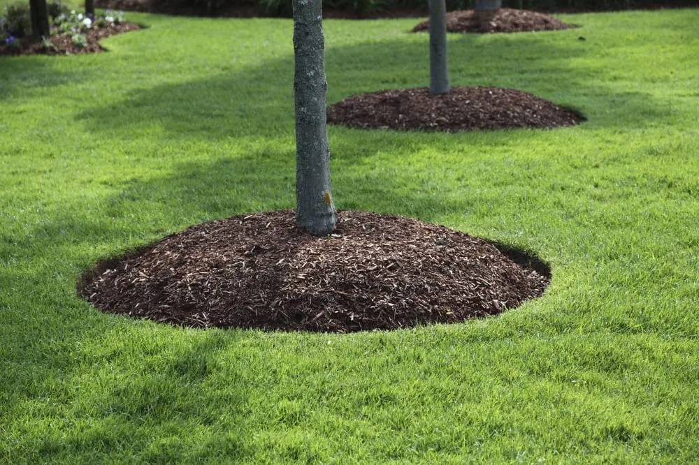 Custom landscape installation in The Woodlands, TX by GreenGate Turf & Pest