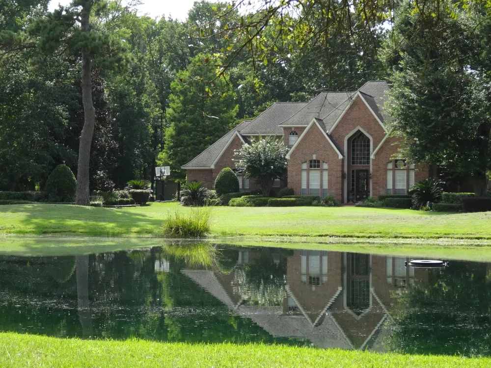 Top-rated yard cleanup service in The Woodlands, TX - GreenGate Turf & Pest