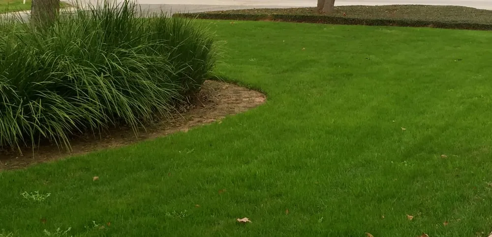 Expert landscaping services in The Woodlands, TX by GreenGate Turf & Pest