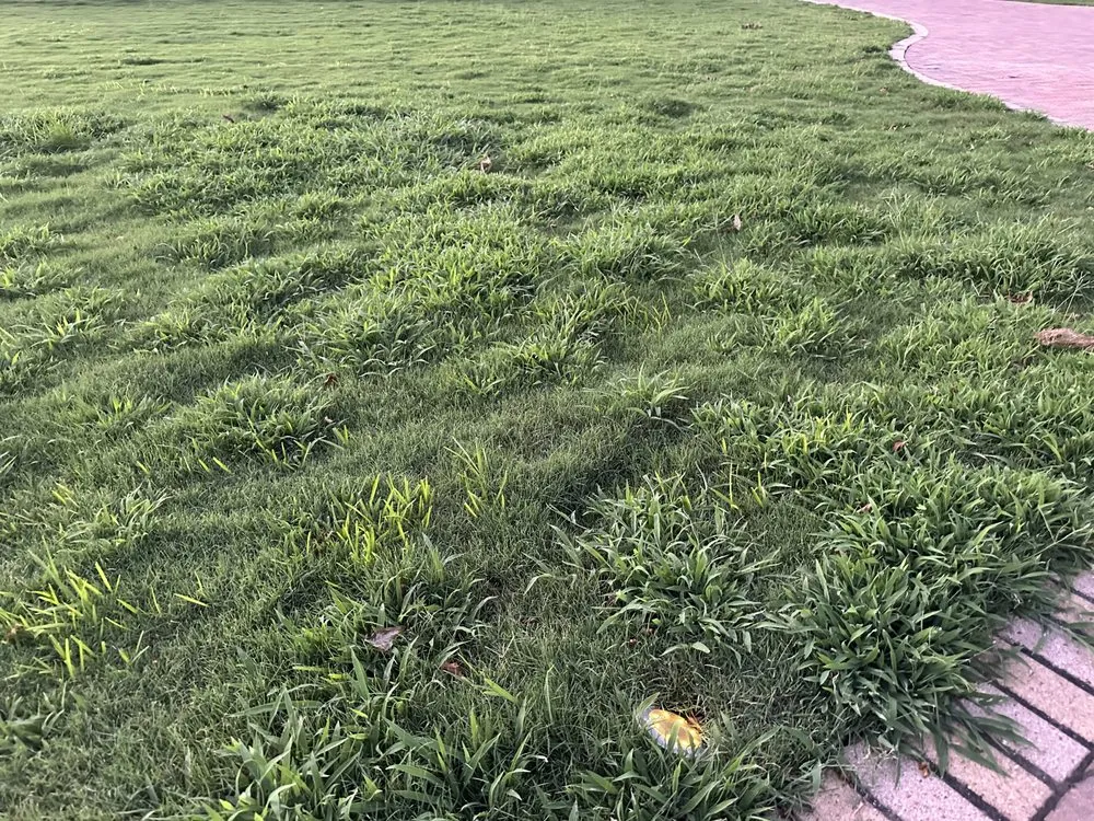 Reliable garden landscaping experts serving The Woodlands, TX - GreenGate Turf & Pest