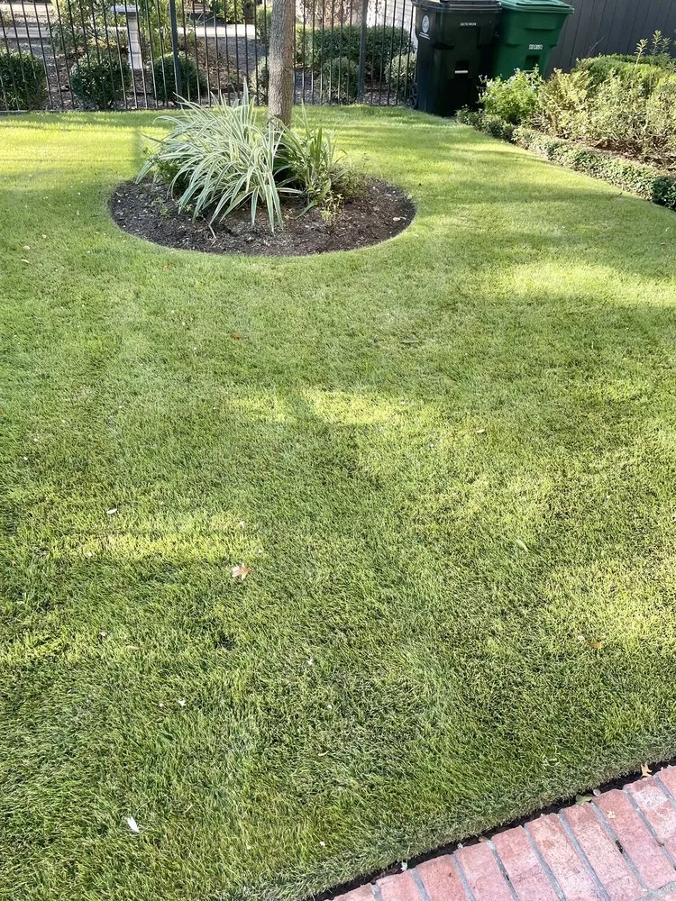 Professional lawn care service for residential properties across The Woodlands, TX - GreenGate Turf & Pest