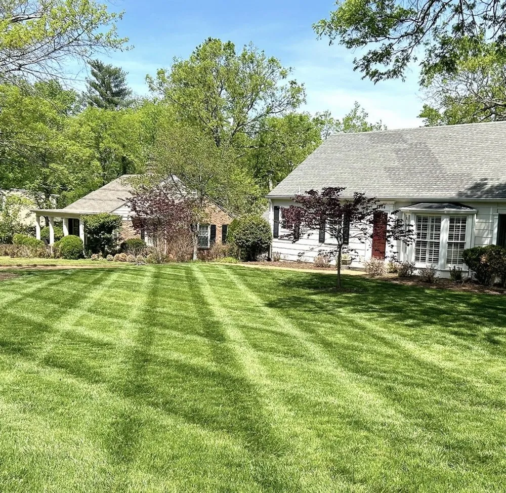 Local lawn mowing service for outdoor upgrades in Cumming, GA by Greenglow Home & Lawn