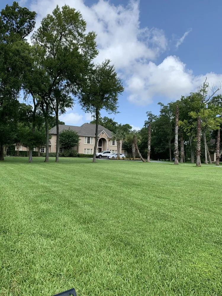 Custom landscape design experts serving Houston, TX - Greenglow Landscaping