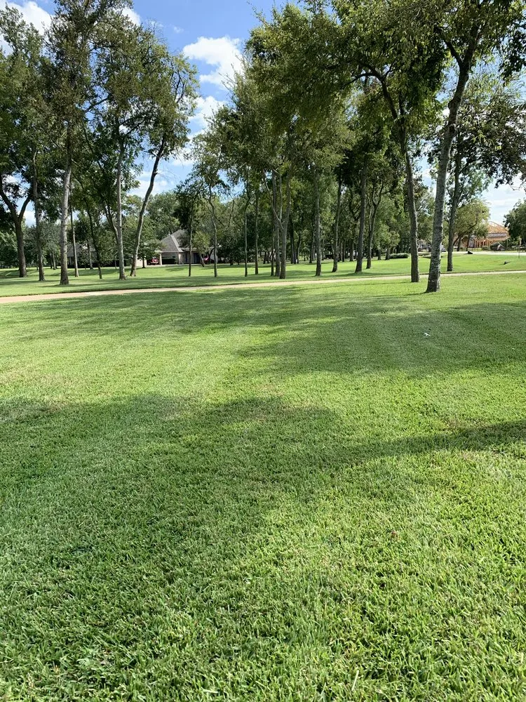 Professional yard cleanup service in Houston, TX by Greenglow Landscaping