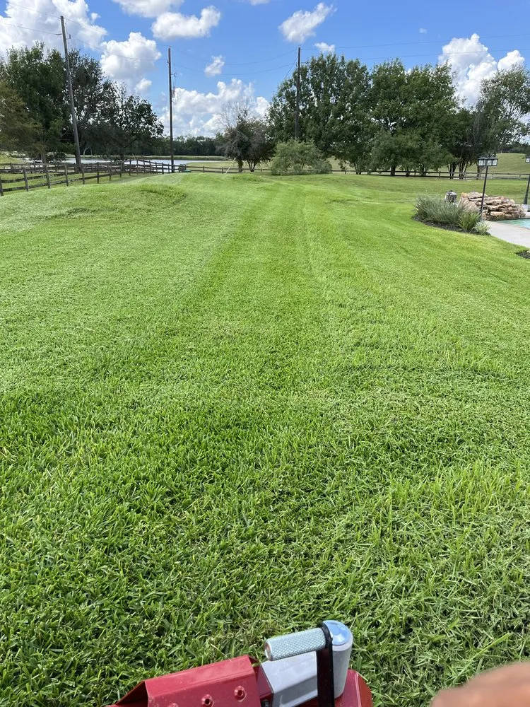 Expert garden landscaping with custom design in Houston, TX by Greenglow Landscaping