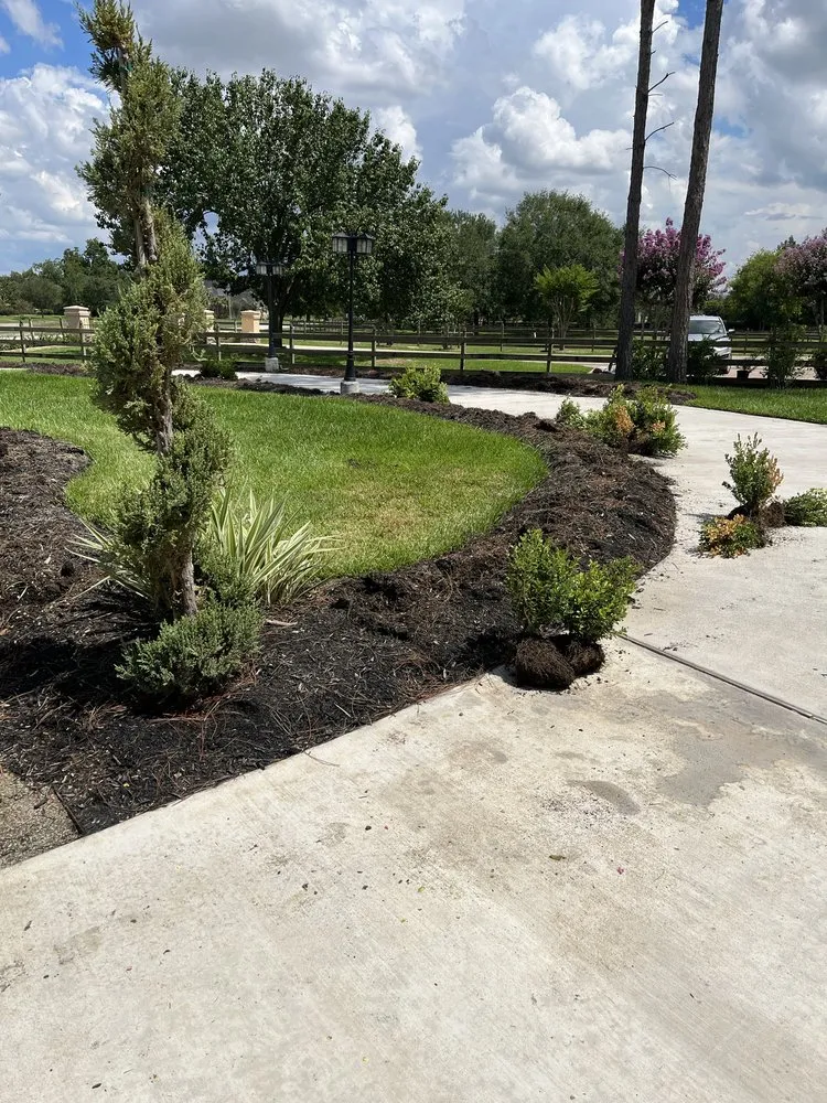 Affordable yard maintenance in Houston, TX - Greenglow Landscaping
