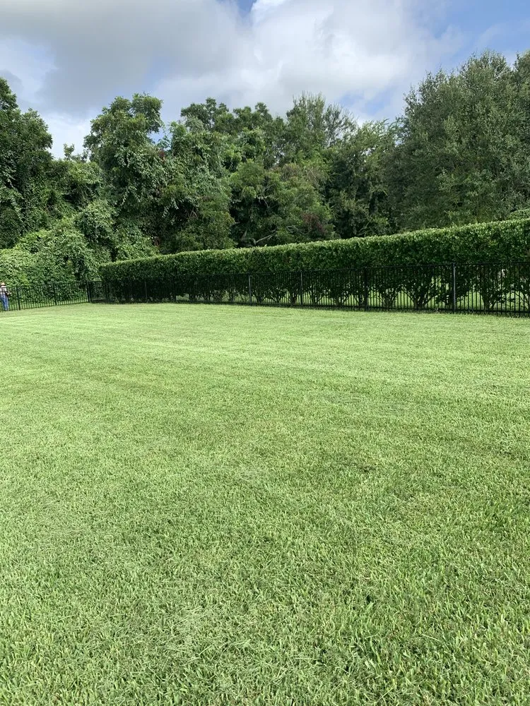 Custom landscape installation experts serving Houston, TX - Greenglow Landscaping
