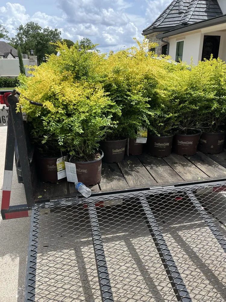 Affordable residential landscaping experts serving Houston, TX - Greenglow Landscaping