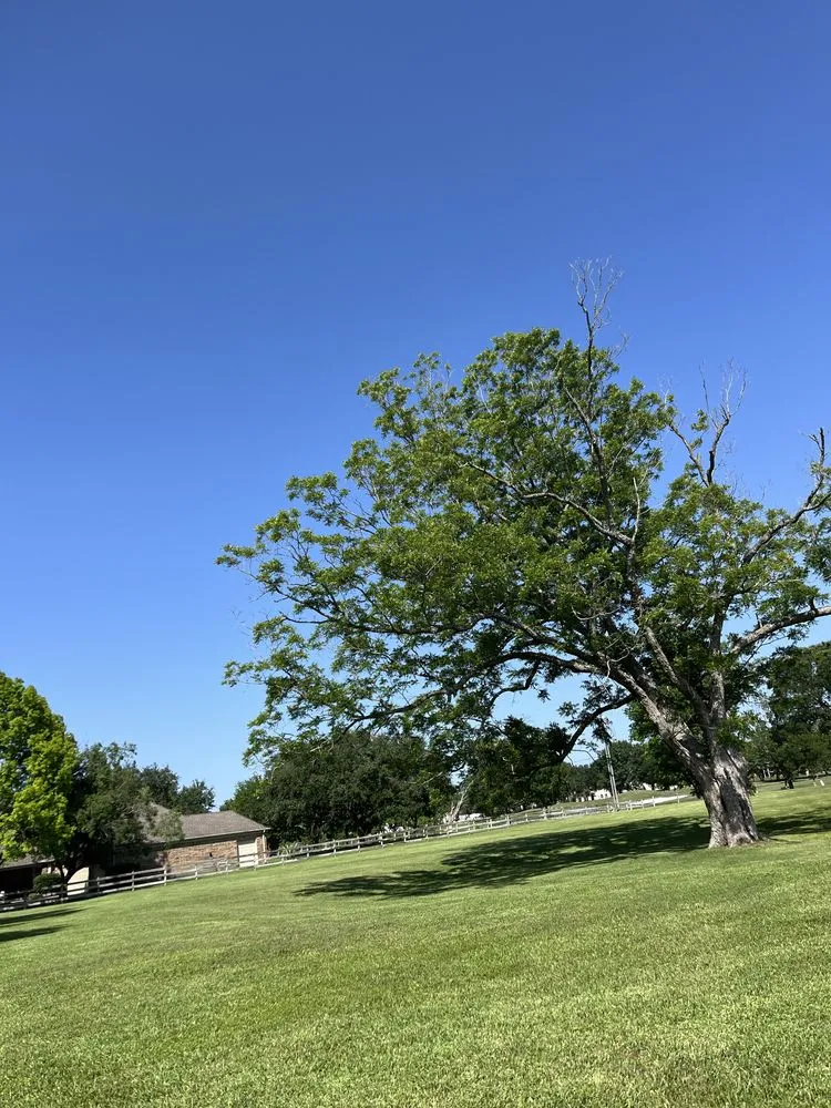 Reliable outdoor landscaping experts serving Houston, TX - Greenglow Landscaping