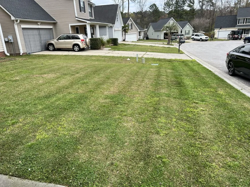 Professional outdoor landscaping experts serving Charleston, SC - GreenGo Landscaping