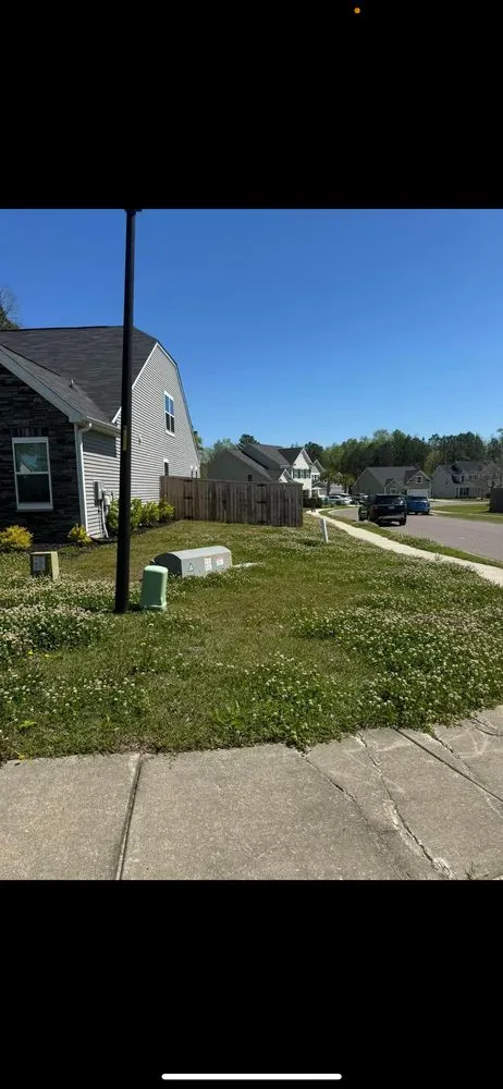 Expert garden landscaping in Charleston, SC by GreenGo Landscaping