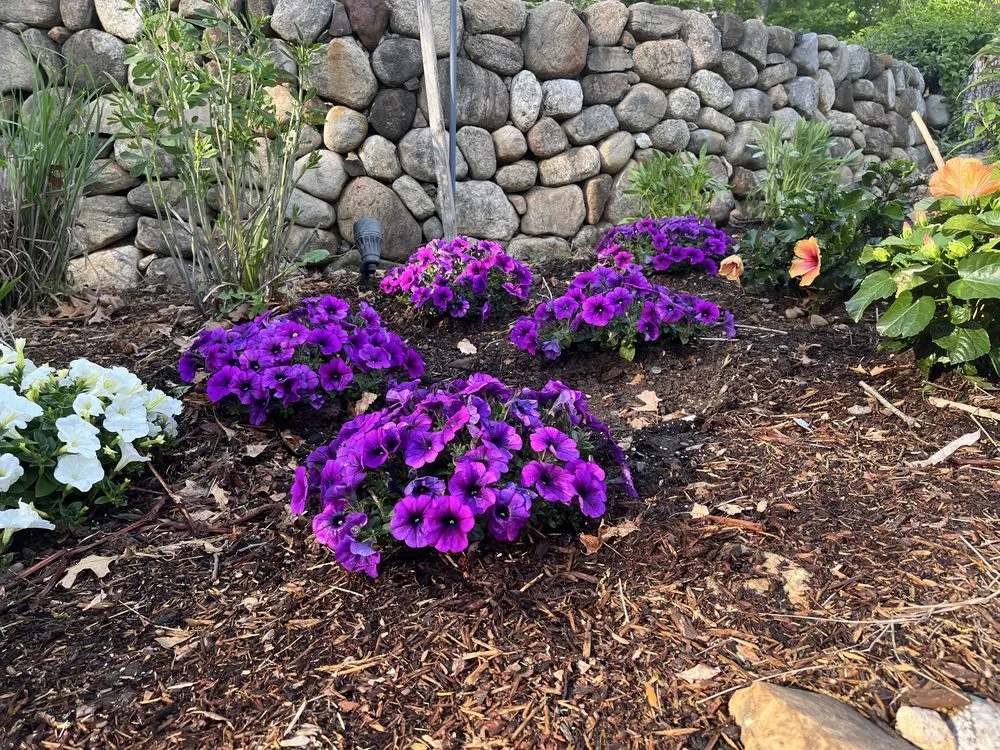 Local residential landscaping experts serving Midland Park, NJ - GreenGo Landscaping