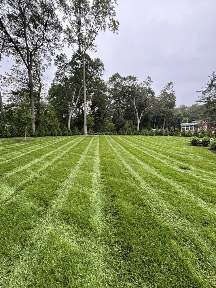 Local yard cleanup service in Midland Park, NJ by GreenGo Landscaping