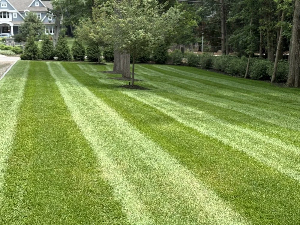 Reliable lawn care service in Midland Park, NJ - GreenGo Landscaping
