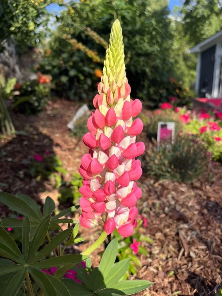 Reliable outdoor landscaping near you in Midland Park, NJ by GreenGo Landscaping