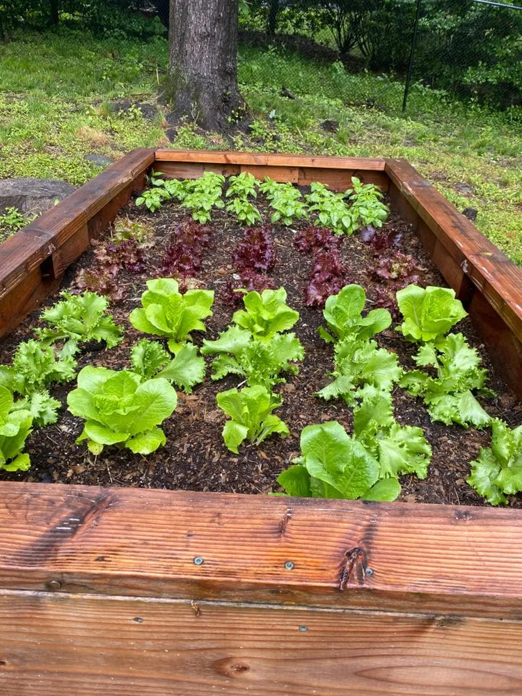 Affordable landscaping services in Midland Park, NJ by GreenGo Landscaping