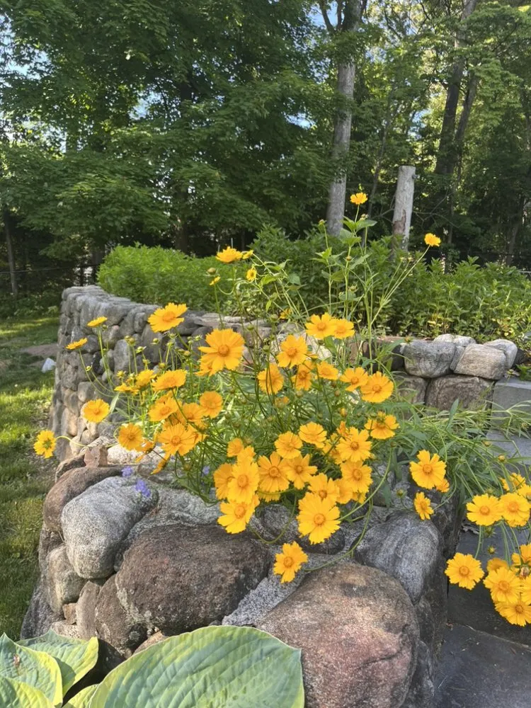 Affordable yard cleanup service for residential properties across Midland Park, NJ - GreenGo Landscaping