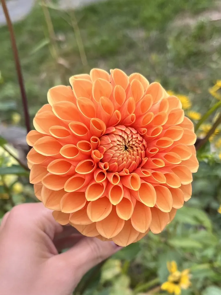 Trusted residential landscaping with custom design across Midland Park, NJ - GreenGo Landscaping