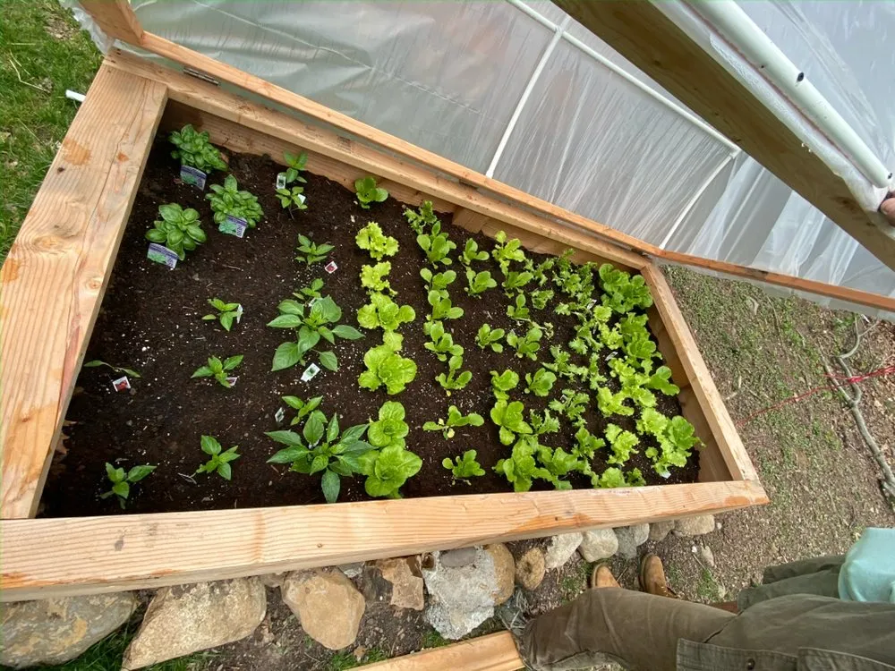 Expert garden landscaping in Midland Park, NJ by GreenGo Landscaping