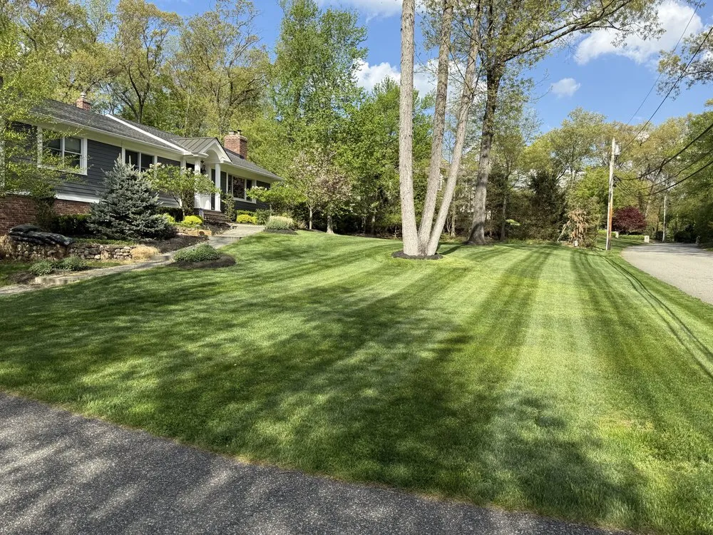 Expert yard cleanup service in Midland Park, NJ - GreenGo Landscaping