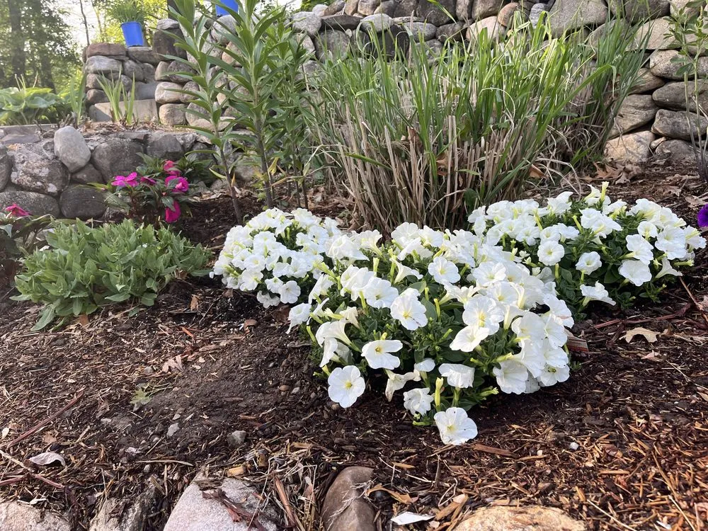 Professional lawn mowing service for residential properties in Midland Park, NJ by GreenGo Landscaping