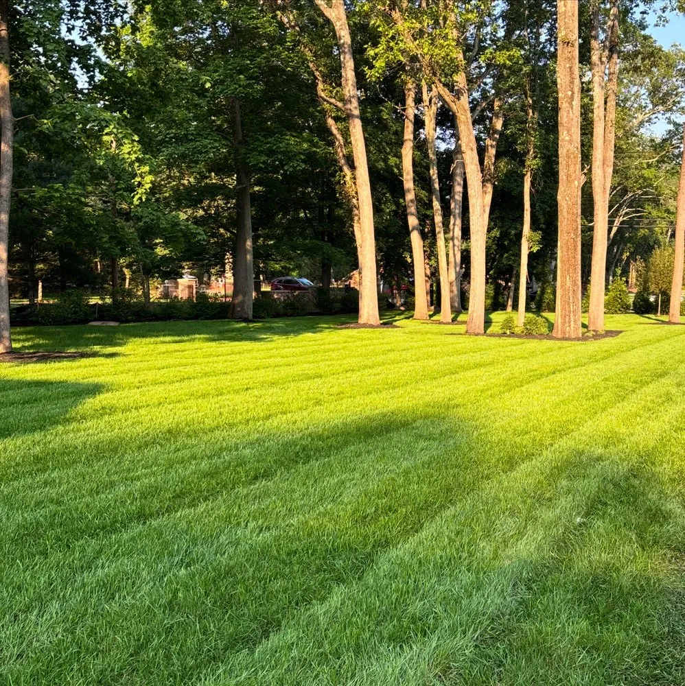 Reliable outdoor landscaping experts serving Midland Park, NJ - GreenGo Landscaping