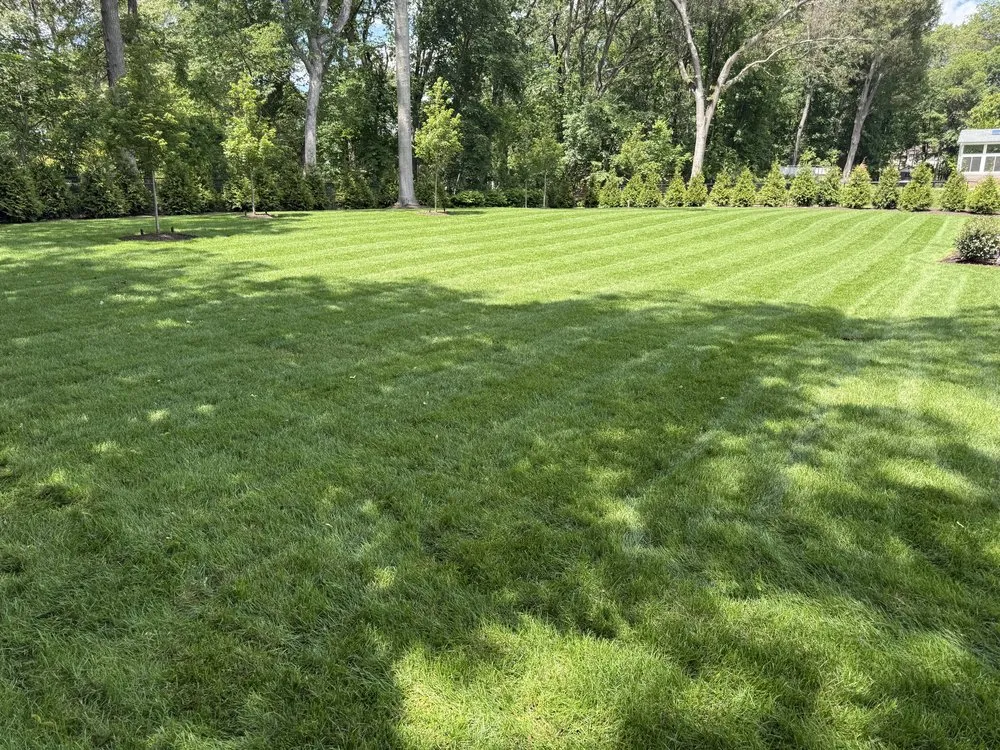 Local lawn care service near you in Midland Park, NJ by GreenGo Landscaping