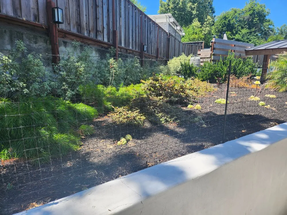 Expert residential landscaping for year-round maintenance across Walnut Creek, CA - Greengo Landscaping