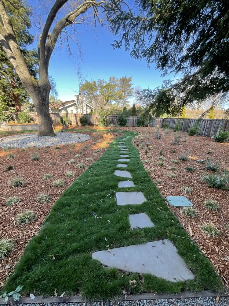 Affordable landscape installation for year-round maintenance in Walnut Creek, CA by Greengo Landscaping