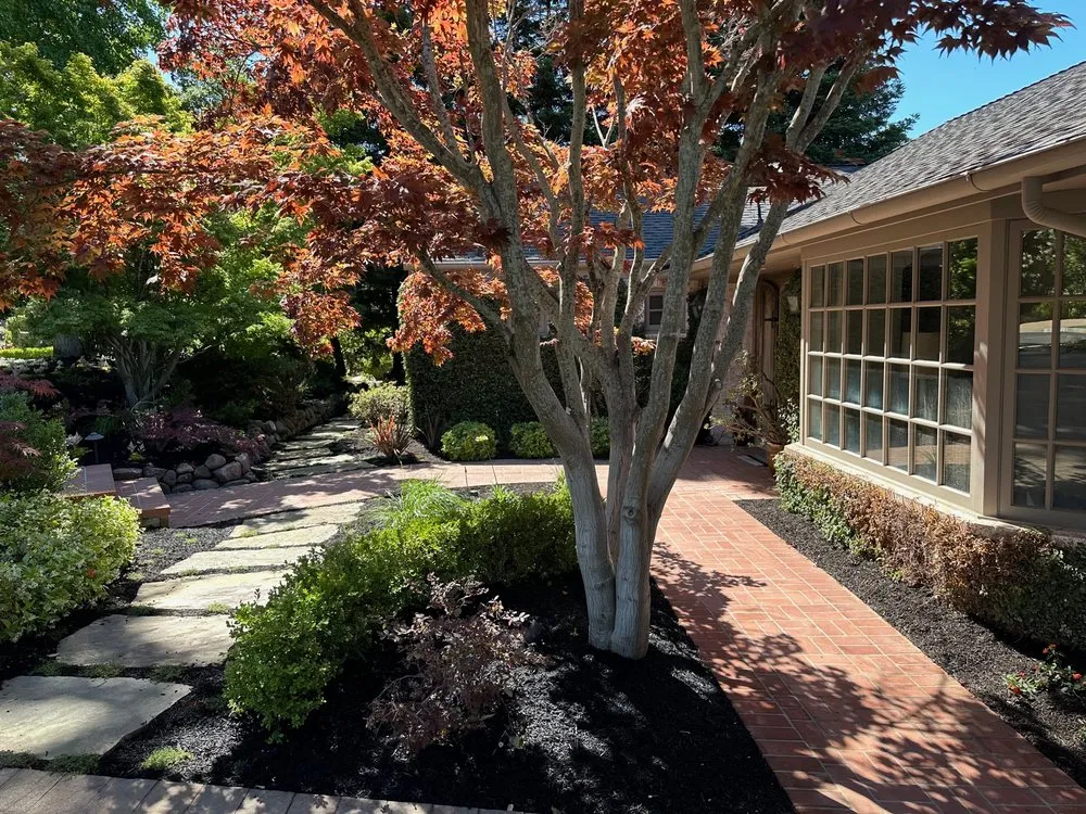 Local outdoor landscaping in Walnut Creek, CA - Greengo Landscaping