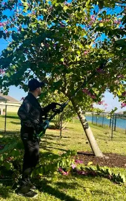 Expert garden landscaping in Fort Myers, FL - GreenGo Services