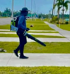 Custom landscape installation experts serving Fort Myers, FL - GreenGo Services