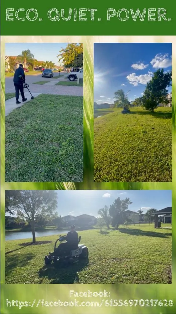 Top-rated yard cleanup service in Fort Myers, FL by GreenGo Services